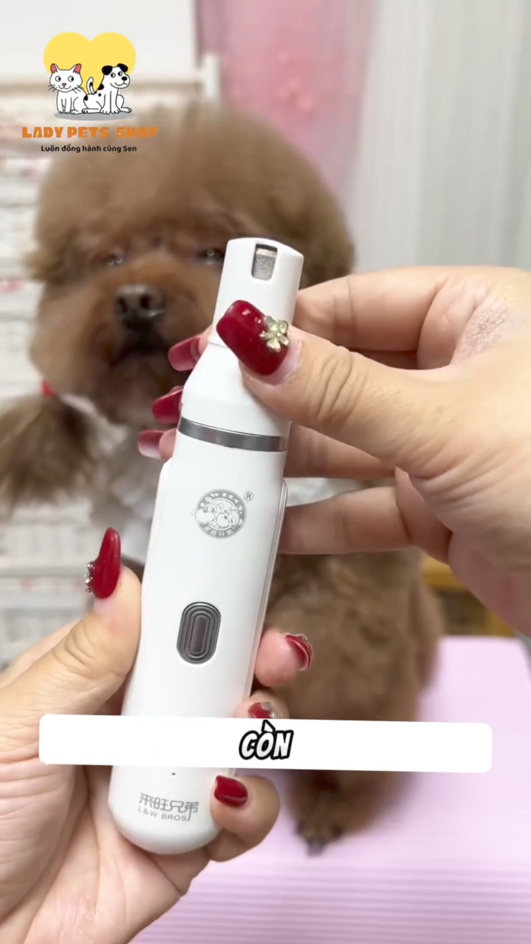 [🆕🇻🇳]  Bông shop – Đồ trẻ em 🧑‍🧒❤️️👶⭐️   ƯU ĐÃI ĐẦU MÙA – SALE CỰC SỐC
Vải nhập khẩu #Mềm #Mịn, #Co #Giãn, cực thoải mái cho làn da của bé
Ba mẹ inbox Shop báo giá và tư vấn thêm cho bé ạ!
, shares-0✔️ , likes-52❤️️ , date-2024-10-14 07:36:05🇻🇳🇻🇳🇻🇳📰🆕