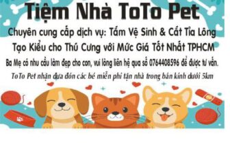 [🆕🇻🇳] TotoPet – Chuyên Đưa đón cắt tạo kiểu cho thú cưng 🐶🦜 Top1Pets 🐱🐠 TotoPet đã cập nhật ảnh bìa của cô ấy.
, shares-0✔️ , likes-0❤️️ , date-2024-03-12 19:30:19🐶🐱🇻🇳🇻🇳🇻🇳📰🆕