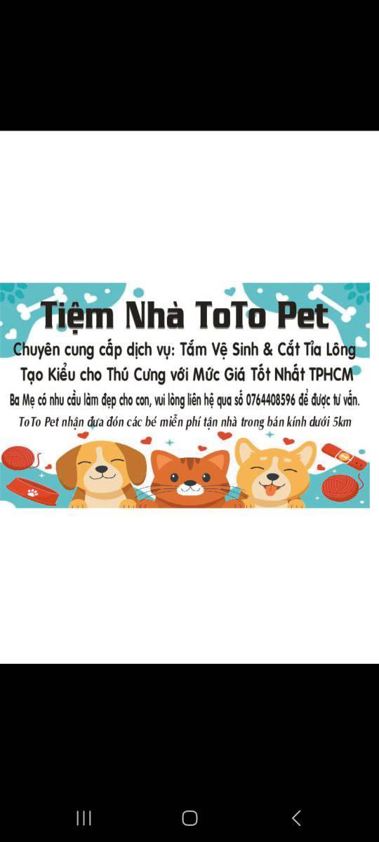 [🆕🇻🇳] TotoPet – Chuyên Đưa đón cắt tạo kiểu cho thú cưng 🐶🦜 Top1Pets 🐱🐠 TotoPet đã cập nhật ảnh bìa của cô ấy.
, shares-0✔️ , likes-0❤️️ , date-2024-03-12 19:30:19🐶🐱🇻🇳🇻🇳🇻🇳📰🆕