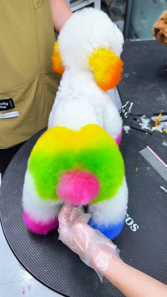 [🆕🇻🇳] The A Studio 👕 Top1Fashion 👗  THE A STUDIO BRIDAL EDIT

The perfect fit for pre-wedding shoot or after party madness

#THEASTUDIO
 , shares-0✔️ , likes-4❤️️ , date-2025-01-06 03:22:23🇻🇳🇻🇳🇻🇳📰🆕