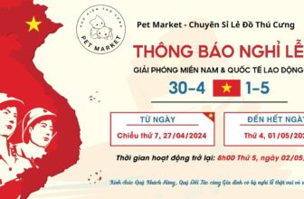 [🆕🇻🇳] Cát vệ sinh và Thức ăn chó mèo Hạ Long 🐶🦜 Top1Pets 🐱🐠 Pet Shop trân trọng thông báo tới Quý Khách hàng, Đối tác lịch nghỉ Lễ Ngày Giải phóng Miền Nam và Quốc tế Lao động năm 2024 như sau:
Ngày nghỉ: Từ chiều t , shares-0✔️ , likes-0❤️️ , date-2024-04-28 08:03:37🐶🐱🇻🇳🇻🇳🇻🇳📰🆕