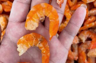 [🆕🇻🇳] Vựa Tôm Cô Ba – Chuyên Sỉ và Lẻ Các loại khô bao giá thị trường 🍔 Top1Food  🍜 Lên dàn tôm mới đẹp quá nè cả nhà ơi
, shares-5✔️ , likes-574❤️️ , date-2024-07-03 23:53:21🇻🇳🇻🇳🇻🇳📰🆕