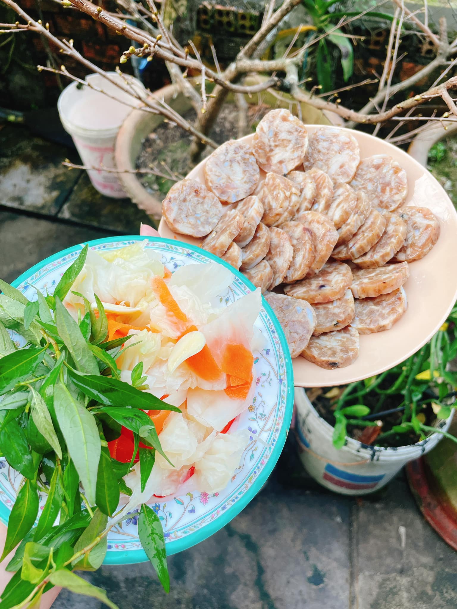 [🆕🇻🇳] Cutpet – Hotel & Spa Cắt Tỉa Lông Chó Mèo Thú Cưng Bình Dương 🐶🦜 Top1Pets 🐱🐠 Bên em có chụp hết tết rồi. Ba mẹ nhớ mang các bé qua để có ảnh đẹp nhéĐể đảm bảo chất lượng dịch vụ spa thú cưng tại Cutpet được tốt nhất , CUTPET xin  , shares-0✔️ , likes-3❤️️ , date-2025-01-20 18:31:35🐶🐱🇻🇳🇻🇳🇻🇳📰🆕