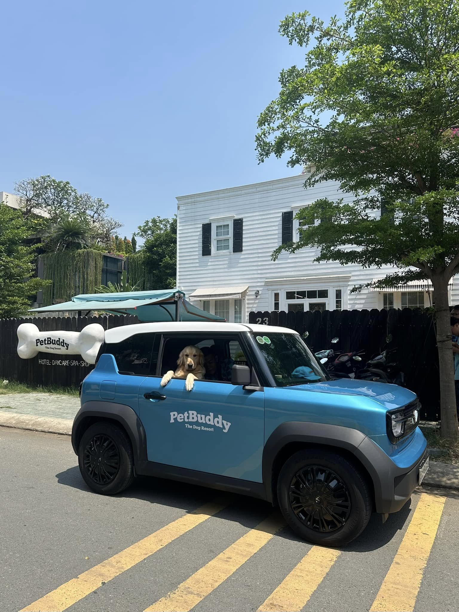 [🆕🇻🇳] PetBuddy – The Dog Resort 🐶🦜 Top1Pets 🐱🐠 DỊCH VỤ ĐƯA ĐÓN BẰNG XE OTO

Từ giờ các boss sẽ không phải ngại mưa, nắng hay gió, bão để đến với PetBuddy vì PetBuddy đã triển khai dịch vụ đưa đón bằng x , shares-11✔️ , likes-48❤️️ , date-2025-03-17 19:39:01🐶🐱🇻🇳🇻🇳🇻🇳📰🆕