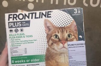 [🆕🇻🇳] Beily Store – Phụ kiện thú cưng 🐶🦜 Top1Pets 🐱🐠 Nhỏ gáy Frontline Plus!!!!!
#An_toàn #Hiệu_quả #Phòng_trị_ve_rậnPhòng và cắt sự quấy rối của ve và bọ chét
Phòng và tiêu diệt trứng, nhộng và bọ ché , shares-0✔️ , likes-3❤️️ , date-2024-03-21 13:24:40🐶🐱🇻🇳🇻🇳🇻🇳📰🆕