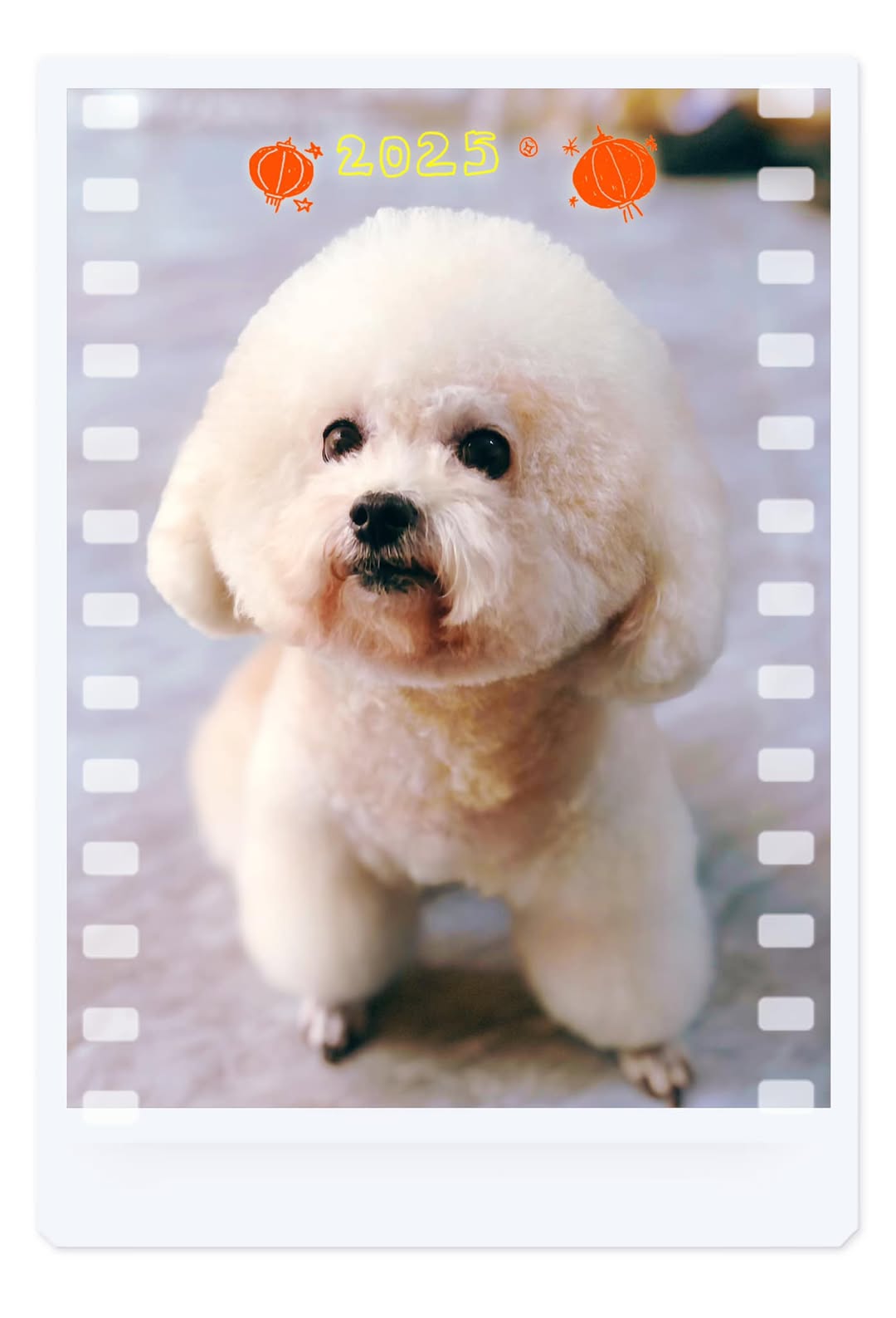 [🆕🇻🇳] JOY PET – Tiệm làm đẹp thú cưng 🐶🦜 Top1Pets 🐱🐠 JOY chính thức hoạt động trở lại sau Tết
Kính chúc quý khách năm mới Vạn Sự Như Ý
Mong tiếp tục được đồng hành và nhận được sự ủng hộ của quý khách
JOY  , shares-0✔️ , likes-8❤️️ , date-2025-02-03 22:48:11🐶🐱🇻🇳🇻🇳🇻🇳📰🆕