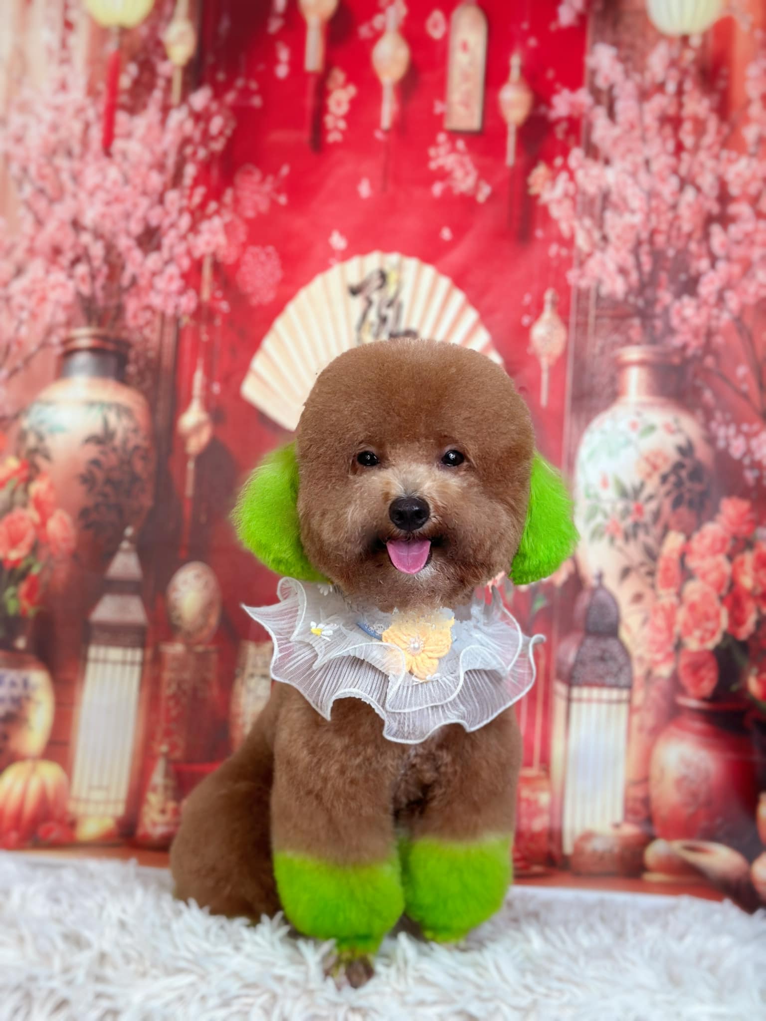 [🆕🇻🇳] Cutpet – Hotel & Spa Cắt Tỉa Lông Chó Mèo Thú Cưng Bình Dương 🐶🦜 Top1Pets 🐱🐠 Bên em có chụp hết tết rồi. Ba mẹ nhớ mang các bé qua để có ảnh đẹp nhéĐể đảm bảo chất lượng dịch vụ spa thú cưng tại Cutpet được tốt nhất , CUTPET xin  , shares-0✔️ , likes-7❤️️ , date-2025-01-17 15:27:53🐶🐱🇻🇳🇻🇳🇻🇳📰🆕