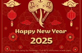 [🆕🇻🇳] Su PetShop – Đào Tạo Học Viên Cắt Tỉa Thú Cưng 🐶🦜 Top1Pets 🐱🐠 Su Pet Làm Xuyên TếtVì nhu cầu làm đẹp cho các Boss tăng dịch Tết. Shop sẽ thu phụ phí 50k cho các bé khi qua làm đẹp tại SuPet từ ngày 28/12AL( 27/1 , shares-0✔️ , likes-2❤️️ , date-2025-01-13 02:57:39🐶🐱🇻🇳🇻🇳🇻🇳📰🆕