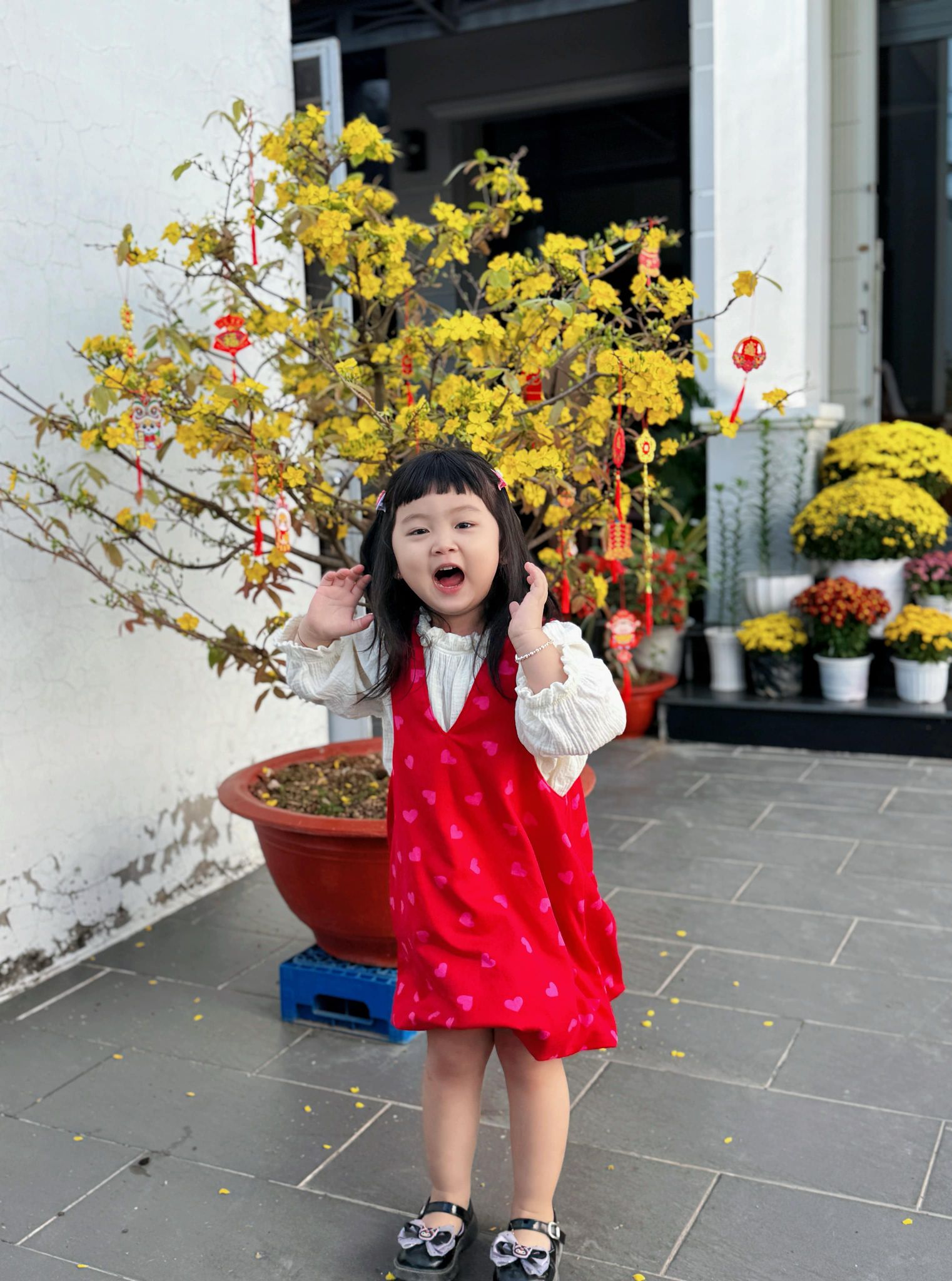 [🆕🇻🇳] Anfenia – Thời trang thiết kế cho bé 🧑‍🧒❤️️👶⭐️ Shop nhận ảnh feedback đầu năm tươi roi rói! 
 , shares-0✔️ , likes-12❤️️ , date-2025-02-04 22:18:16🇻🇳🇻🇳🇻🇳📰🆕