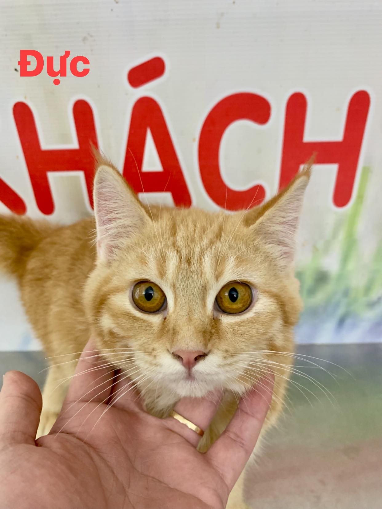 [🆕🇻🇳]  Nhật Bin Kids – ᴄʜᴜʏᴇ̂ɴ ᴆᴏ̂̀ ʙᴇ́ ᴛʀᴀɪ ʜᴏᴛ ᴛʀᴇɴᴅ (ᴠɴ, ᴠɴxᴋ,ǫᴄᴄᴄ ) ᴄʜᴏ ʙᴇ́ ɪᴜ 🧑‍🧒❤️️👶⭐️  Quần basic dễ mặc dễ phối đồ 
 Đi học đi chơi đều đẹp
 màu: xanh ,đen ,be 
size :80-140 (9-20kg)
 , shares-0✔️ , likes-3❤️️ , date-2025-05-15 18:56:38🇻🇳🇻🇳🇻🇳📰🆕