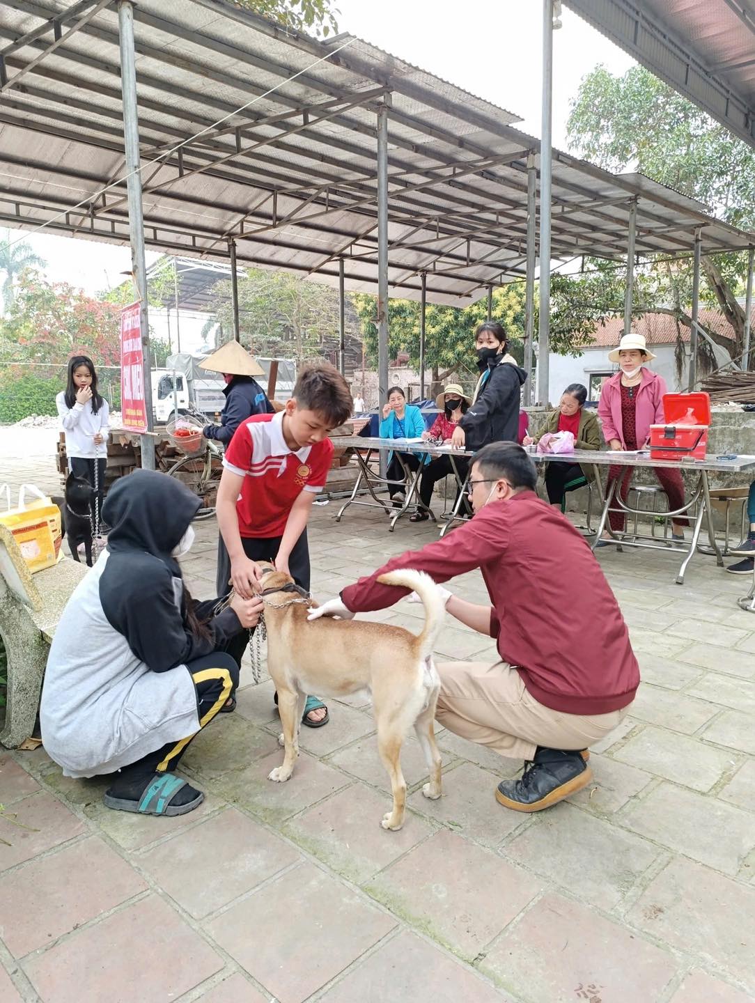 [🆕🇻🇳] Psmilevietnam – Thương hiệu chăm sóc thú cưng hàng đầu Việt Nam 🐶🦜 Top1Pets 🐱🐠 Gà sấy cỏ mèo cho boss
, shares-0✔️ , likes-2❤️️ , date-2025-03-23 20:48:21🐶🐱🇻🇳🇻🇳🇻🇳📰🆕