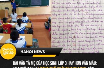 [🆕🇻🇳]  MIA KIDS – Thời trang trẻ em 🧑‍🧒❤️️👶⭐️  Bài văn tả Mẹ quá hayChị Nguyễn Ngân, mẹ của em Nguyễn Hải Anh, học sinh lớp 3, Trường Tiểu học Lê Quý Đôn, Hà Nội kể lại, mới đây khi con trai đi học v , shares-0✔️ , likes-1❤️️ , date-2024-10-04 18:43:17🇻🇳🇻🇳🇻🇳📰🆕