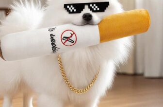 [🆕🇻🇳] Kho Pet Shop – Chuyên cung cấp thức ăn, cát, phụ kiện cho chó mèo 🐶🦜 Top1Pets 🐱🐠 Đồ chơi bông hình thuốc láCho các cháu trải nghiệm làm yang lake đây ạ :33Đồ chơi bông hình thuốc lá khổng lồ gây thích thú và mới mẻ
– bằng bông mềm m , shares-0✔️ , likes-1❤️️ , date-2025-12-10 20:01:09🐶🐱🇻🇳🇻🇳🇻🇳📰🆕