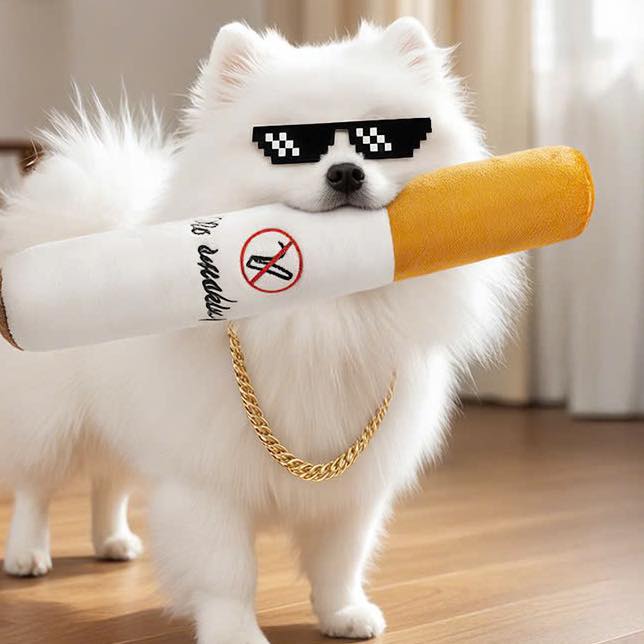 [🆕🇻🇳] Kho Pet Shop – Chuyên cung cấp thức ăn, cát, phụ kiện cho chó mèo 🐶🦜 Top1Pets 🐱🐠 Đồ chơi bông hình thuốc láCho các cháu trải nghiệm làm yang lake đây ạ :33Đồ chơi bông hình thuốc lá khổng lồ gây thích thú và mới mẻ
– bằng bông mềm m , shares-0✔️ , likes-1❤️️ , date-2025-12-10 20:01:09🐶🐱🇻🇳🇻🇳🇻🇳📰🆕