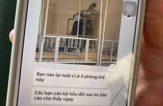 [🆕🇻🇳] Lino Pet – Cắt Tỉa Lông, Làm Đẹp, Chăm Sóc và Phụ Kiện Thú Cưng 🐶🦜 Top1Pets 🐱🐠 Đã bất động và nép sát tường rất lâu rồi vẫn bị phát hiện  =)))))))
, shares-0✔️ , likes-2❤️️ , date-2025-04-08 05:17:55🐶🐱🇻🇳🇻🇳🇻🇳📰🆕