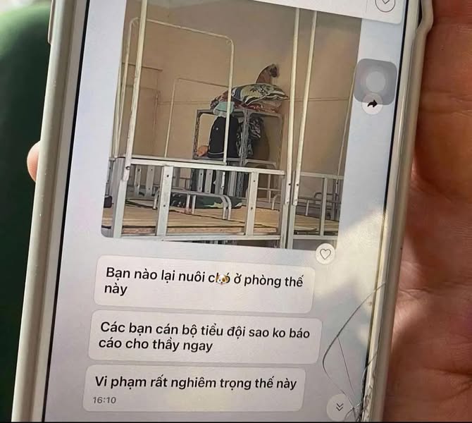 [🆕🇻🇳] Lino Pet – Cắt Tỉa Lông, Làm Đẹp, Chăm Sóc và Phụ Kiện Thú Cưng 🐶🦜 Top1Pets 🐱🐠 Đã bất động và nép sát tường rất lâu rồi vẫn bị phát hiện  =)))))))
, shares-0✔️ , likes-2❤️️ , date-2025-04-08 05:17:55🐶🐱🇻🇳🇻🇳🇻🇳📰🆕