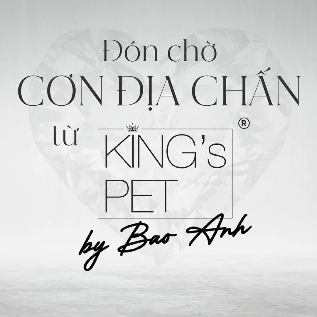 [🆕🇻🇳] DOCA PET 🐶🦜 Top1Pets 🐱🐠 Hóng quá đi các Sen ơi
, shares-0✔️ , likes-9❤️️ , date-2024-01-12 04:15:08🐶🐱🇻🇳🇻🇳🇻🇳📰🆕