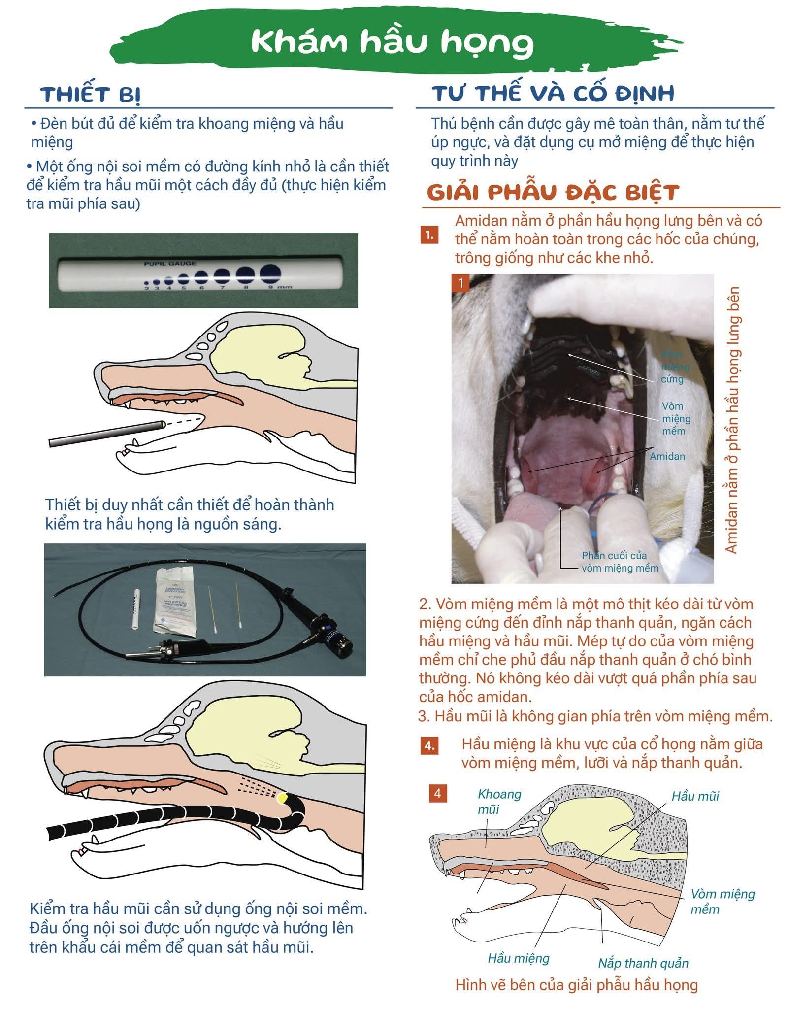 [🆕🇻🇳] Bệnh Viện Thú Y ChenPet Bắc Giang 🐶🦜 Top1Pets 🐱🐠 CÁC BƯỚC KHÁM LÂM SÀNG Ở CHÓ MÈO
RẤT HỮU ÍCH ĐỂ CHẨN ĐOÁN CÁC BỆNH
, shares-18✔️ , likes-10❤️️ , date-2025-01-10 00:26:41🐶🐱🇻🇳🇻🇳🇻🇳📰🆕