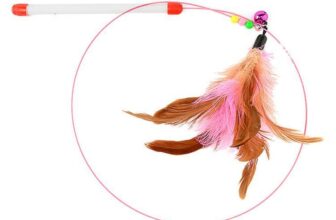 [🆕🇻🇳] HuMi Pet  (Siêu Thị Thú Cưng) 🐶🦜 Top1Pets 🐱🐠 CẦN CÂU LÔNG VŨ CHO MÈO YÊU CỦA BẠN!
Bạn đang tìm kiếm một món đồ chơi thú vị cho mèo yêu của mình? Đừng bỏ qua Cần Câu Lông Vũ Siêu Cute – món quà tuyệt  , shares-0✔️ , likes-0❤️️ , date-2025-04-23 23:10:49🐶🐱🇻🇳🇻🇳🇻🇳📰🆕