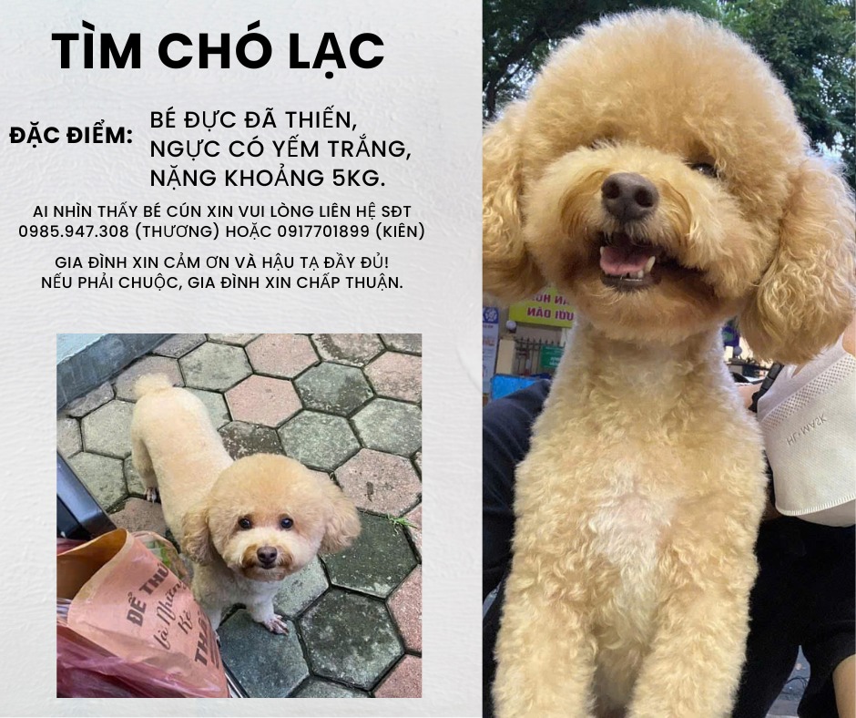 [🆕🇻🇳]  Thời Trang Trẻ Em – Chuyên phân phối thời trang, đồ chơi trẻ em sỉ, lẻ 🧑‍🧒❤️️👶⭐️ cưng nha
, shares-0✔️ , likes-1❤️️ , date-2025-01-04 23:56:42🇻🇳🇻🇳🇻🇳📰🆕