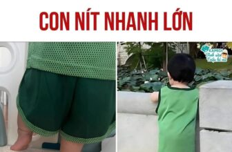 [🆕🇻🇳] THỜI TRANG TRẺ EM – Chuyên cung cấp thời trang trẻ em từ 2 nguồn: Việt Nam & Quảng Châu 🧑‍🧒❤️️👶⭐️ Bình luận đã bị tắt cho bài viết này.
, shares-0✔️ , likes-1❤️️ , date-2025-05-09 04:13:34🇻🇳🇻🇳🇻🇳📰🆕