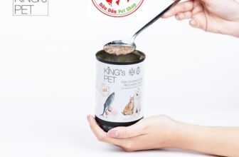 [🆕🇻🇳] DÂU DÂU PET SHOP 🐶🦜 Top1Pets 🐱🐠 Súp Cá Sốt Bò King’s Pet Lon 380g Thức Ăn Cho Chó Mèo
Nguyên liệu tự nhiên: Sử dụng nguồn cá biển tươi, xương bò, xuất xứ hoàn toàn Việt Nam, không sử dụng , shares-0✔️ , likes-6❤️️ , date-2024-04-10 23:45:00🐶🐱🇻🇳🇻🇳🇻🇳📰🆕