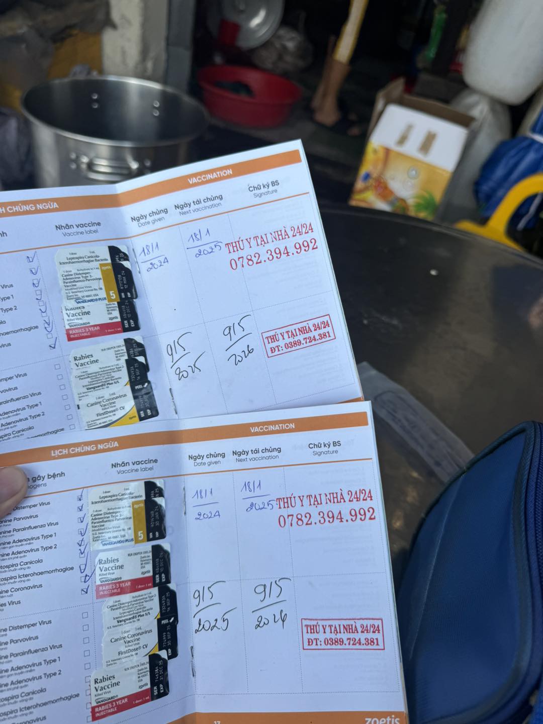 [🆕🇻🇳]  DOBO KIDS Shop – Thời Trang Mẹ & Bé 🧑‍🧒❤️️👶⭐️ Màu son mà ai cũng mê , siêu trắng da luôn nha
, shares-0✔️ , likes-0❤️️ , date-2025-05-09 22:53:26🇻🇳🇻🇳🇻🇳📰🆕