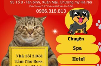 [🆕🇻🇳] Dola Pet – 223 Tô Hiệu Hà Đông 🐶🦜 Top1Pets 🐱🐠 DoLa Pet Xuân Mai
Chuyên : Spa – Hotel – Phụ Kiện  Thú cưng
–  Tắm, cắt tỉa tạo kiểu làm đẹp cho thú cưng
– Phụ kiện, hạt, túi vận chuyển , shares-0✔️ , likes-1❤️️ , date-2025-05-22 21:56:05🐶🐱🇻🇳🇻🇳🇻🇳📰🆕