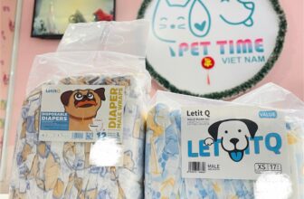 [🆕🇻🇳] Pet Time Vietnam – Dịch vụ spa, hotel và phụ kiện cho chó mèo 🐶🦜 Top1Pets 🐱🐠 tã dành cho chó dùng một lần dành cho chó đực100% thương hiệu mới, chất lượng cao
Chất liệu chống vi khuẩn: hạn chế sự phát triển của vi khuẩn và hạn chế , shares-0✔️ , likes-0❤️️ , date-2025-05-28 16:00:20🐶🐱🇻🇳🇻🇳🇻🇳📰🆕