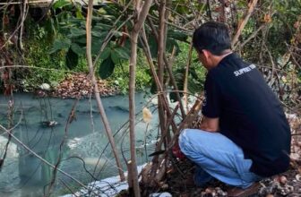 [☕️🇻🇳] Cà phê Ngọc Hà- Cafe sân vườn 🥤 Top1Coffee ☕️ Dọn cây bên bờ kinh , shares-0✔️ , likes-3❤️️ , date-2025-05-28 22:36:49🇻🇳🇻🇳🇻🇳📰🆕