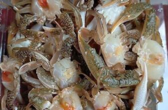 [🆕🇻🇳] Chợ Quê Hải Sản – chuyên cung cấp chả cá nha trang và các loại hải sản tươi sống 🍔 Top1Food  🍜 Ghẹ sữa tươi 100k/ký
IB : 0909 837 512
, shares-0✔️ , likes-1❤️️ , date-2025-06-05 04:49:23🇻🇳🇻🇳🇻🇳📰🆕