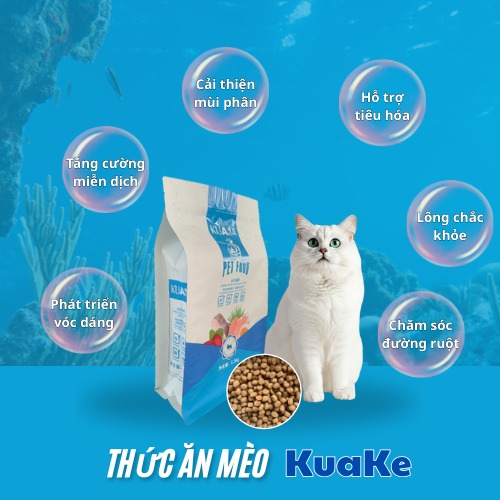 [🆕🇻🇳] Tổng Đại Lý Phân Phối Thức Ăn Và Phụ Kiện Chó Mèo 🐶🦜 Top1Pets 🐱🐠 – Không thể bàn cãi về chất lượng và độ ngập tràn topping thịt trứng sấy lạnh thăng hoa của dòng hạt Catmix
– Dòng hạt Catmix cho các bé mèo từ 2 tháng tuổ , shares-0✔️ , likes-27❤️️ , date-2025-06-18 17:06:51🐶🐱🇻🇳🇻🇳🇻🇳📰🆕