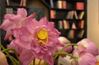 [☕️🇻🇳]  Loi’s Specialty Coffee – Purity🥤 Top1Coffee ☕️ Mùa Sen.
, shares-0✔️ , likes-20❤️️ , date-2025-06-12 18:25:20🇻🇳🇻🇳🇻🇳📰🆕