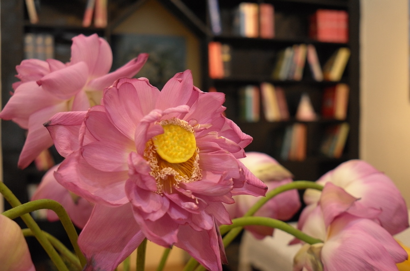 [🧸️🇻🇳] Siêu Thị Mẹ và Bé 🎈Top1Toys🧸️   Xe đạp trẻ em XAMING – Sakura (樱花)
Dành cho bé 2–8 tuổi | Size: 12”–20”
Màu: Đỏ – Tím – HồngKhung thép carbon chắc chắn
Bánh hơi chống trượt, có bá , shares-0✔️ , likes-4❤️️ , date-2025-06-12 05:00:35🇻🇳🇻🇳🇻🇳📰🆕