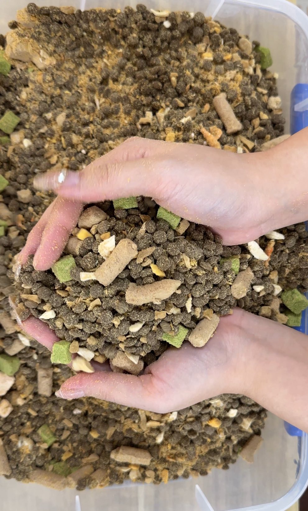 [🆕🇻🇳]  Thảo My Baby – Giày dép trẻ em QCCC 🧑‍🧒❤️️👶⭐️ Giày đẹp quá mẹ ơiii lấy từ 2đôi e Freeship ạ
 , shares-0✔️ , likes-0❤️️ , date-2025-10-31 00:14:13🇻🇳🇻🇳🇻🇳📰🆕