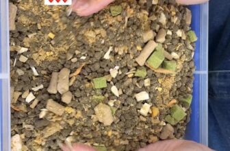 [🆕🇻🇳] Tổng Đại Lý Phân Phối Thức Ăn Và Phụ Kiện Chó Mèo 🐶🦜 Top1Pets 🐱🐠  , shares-2✔️ , likes-44❤️️ , date-2025-06-18 17:12:54🐶🐱🇻🇳🇻🇳🇻🇳📰🆕