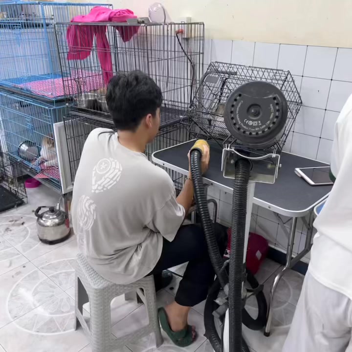 [🆕🇻🇳] Pumami Pet Shop – Cửa Hàng Chăm Sóc Thú Cưng 🐶🦜 Top1Pets 🐱🐠  Đầu tuần chăm chỉ
Quý khách đặt lịch trước cho các bé để khi các bé qua shop không phải đợi lâu ạ.
Các bé ở xa Quý Khách không tiện chở bé qua shop,bên , shares-0✔️ , likes-10❤️️ , date-2025-06-18 03:25:01🐶🐱🇻🇳🇻🇳🇻🇳📰🆕