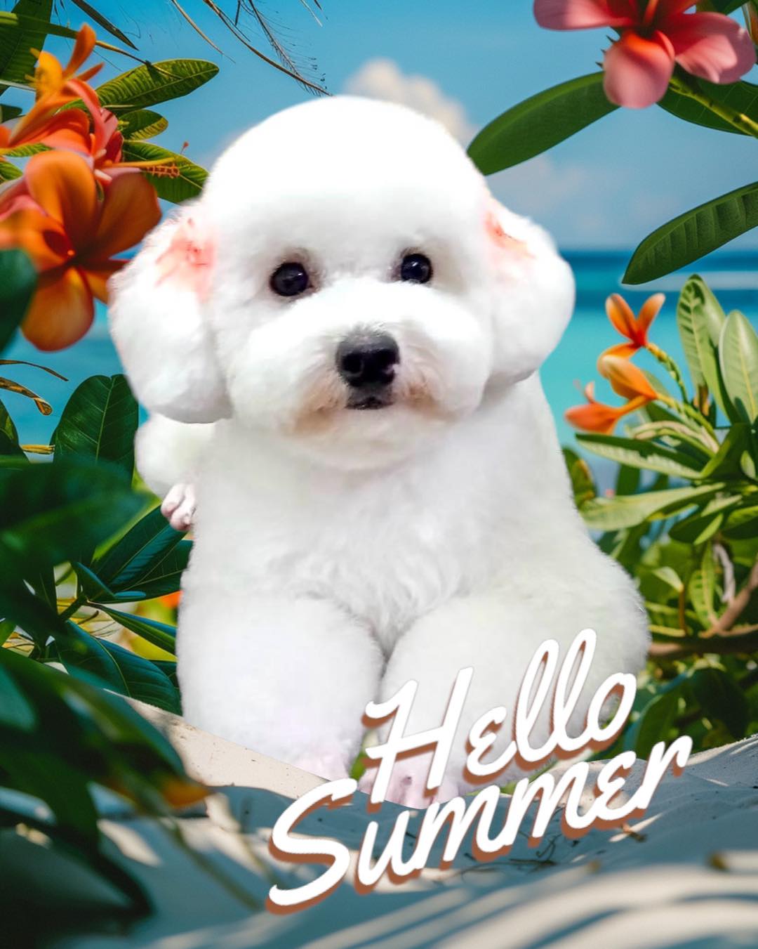 [🆕🇻🇳] Oscar Pet – Làm đẹp thú cưng – Grooming Spa & Hotel 🐶🦜 Top1Pets 🐱🐠 Tháng mới Oscar Pétshop kính chúc quý khách yêu:
Luôn Mạnh Khoẻ – Luôn Vui Vẻ – Hạnh Phúc và Thành Công.Oscar Petshop
Spa – Hotel For Pet
Làm Đẹp Thú  , shares-3✔️ , likes-258❤️️ , date-2025-07-01 21:11:53🐶🐱🇻🇳🇻🇳🇻🇳📰🆕