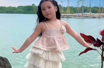 [🆕🇻🇳]  Cherri Chan – Cửa hàng quần áo sơ sinh & trẻ em  🧑‍🧒❤️️👶⭐️  , shares-1✔️ , likes-17❤️️ , date-2025-07-02 18:32:15🇻🇳🇻🇳🇻🇳📰🆕