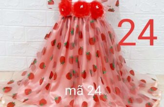 [🆕🇻🇳] Đầm Công Chúa – Đầm công chúa cho bé yêu 🧑‍🧒❤️️👶⭐️ Nay shop đang giảm giá 150k còn 120k
, shares-0✔️ , likes-11❤️️ , date-2025-07-04 14:24:53🇻🇳🇻🇳🇻🇳📰🆕