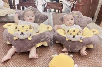 [🆕🇻🇳]  Shop Mẹ Sóc – Chuyên cung cấp gấu bông, đồ chơi cho bé sơ sinh, sỉ lẻ toàn quốc 🧑‍🧒❤️️👶⭐️ Mẹ ưng. Bé khoái, trv 2 bé yêu xinh quá các mẹ ơi.
, shares-0✔️ , likes-1❤️️ , date-2025-07-05 21:18:06🇻🇳🇻🇳🇻🇳📰🆕