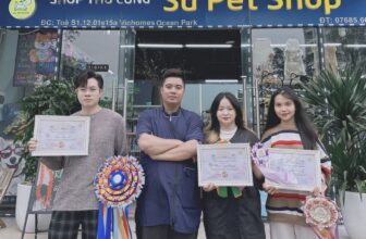 [🆕🇻🇳] Su PetShop – Đào Tạo Học Viên Cắt Tỉa Thú Cưng 🐶🦜 Top1Pets 🐱🐠 Học viên K10 và K11 hoàn thành khoá học cắt tỉa lvC bên Su Pet Grooming Academy
, shares-0✔️ , likes-1❤️️ , date-2025-07-15 18:18:12🐶🐱🇻🇳🇻🇳🇻🇳📰🆕