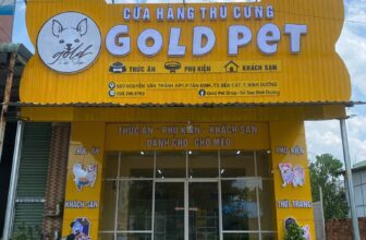 [🆕🇻🇳] Gold Pet Shop – Sở Sao Bình Dương 🐶🦜 Top1Pets 🐱🐠  𝑆𝑒𝑛 đ𝑎𝑛𝑔 𝑐𝑎̂̀𝑛 𝑡𝑖̀𝑚 𝑚𝑜̣̂𝑡 𝑛𝑜̛𝑖 𝑚𝑢𝑎 ℎ𝑎̀𝑛𝑔 𝑐ℎ𝑎̂́𝑡 𝑙𝑢̛𝑜̛̣𝑛𝑔 𝑡𝑎̣𝑖 𝐵𝑖̀𝑛ℎ 𝐷𝑢̛𝑜̛𝑛𝑔?
𝐺𝑜𝑙𝑑 𝑃𝑒𝑡 𝑆ℎ𝑜𝑝 𝑙𝑎̀ 1 𝑛𝑜̛𝑖 đ𝑖𝑒̂̉𝑛 ℎ𝑖̀𝑛ℎ
Bạn có đang lo lắng về việc không biế , shares-1✔️ , likes-15❤️️ , date-2025-07-22 00:17:55🐶🐱🇻🇳🇻🇳🇻🇳📰🆕