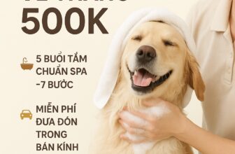 [🆕🇻🇳] KaSaki Animal Care 🐶🦜 Top1Pets 🐱🐠  VÉ TẮM LOYALTY – 500K/5 BUỔI, CHUẨN SPA 7 BƯỚC!
FREE ĐƯA- ĐÓN TRONG BÁN KÍNH 10KM!Chọn ngay 1⃣ trong 2⃣ gói ưu đãi siêu hời:
Gói 1&#x , shares-2✔️ , likes-0❤️️ , date-2025-07-22 07:01:41🐶🐱🇻🇳🇻🇳🇻🇳📰🆕