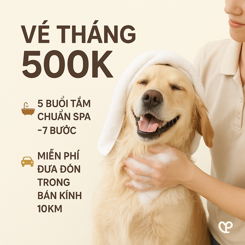 [🆕🇻🇳] KaSaki Animal Care 🐶🦜 Top1Pets 🐱🐠  VÉ TẮM LOYALTY – 500K/5 BUỔI, CHUẨN SPA 7 BƯỚC!
FREE ĐƯA- ĐÓN TRONG BÁN KÍNH 10KM!Chọn ngay 1⃣ trong 2⃣ gói ưu đãi siêu hời:
Gói 1&#x , shares-2✔️ , likes-0❤️️ , date-2025-07-22 07:01:41🐶🐱🇻🇳🇻🇳🇻🇳📰🆕
