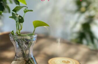 [☕️🇻🇳] PINK Cafe 37 Nguyễn Văn Huyên 🥤 Top1Coffee ☕️ Cà phê thì có vị đắng. Nhưng vị đắng lại khiến ta “ngọt” lòng…, shares-0✔️ , likes-8❤️️ , date-2025-07-30 22:36:42🇻🇳🇻🇳🇻🇳📰🆕