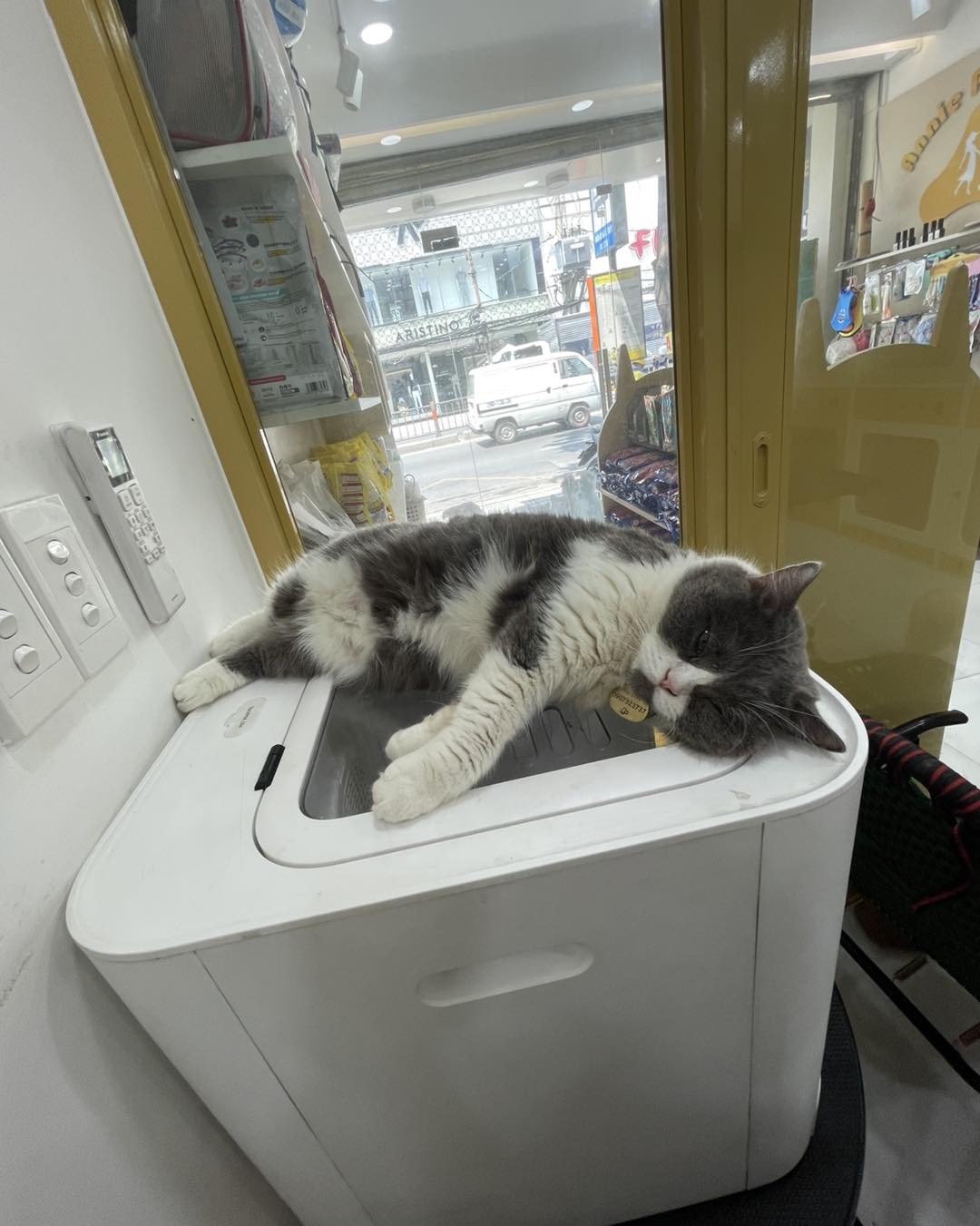 [🆕🇻🇳] Master Pet Grooming Spa & Hotel – Chăm sóc và làm đẹp cho thú cưng 🐶🦜 Top1Pets 🐱🐠 Tôi khi không còn lo cơm áo gạo tiền
, shares-0✔️ , likes-2❤️️ , date-2025-08-04 17:39:18🐶🐱🇻🇳🇻🇳🇻🇳📰🆕