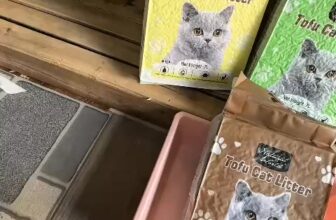 [🆕🇻🇳] Blue Pet – Vật phẩm dành cho thú cưng 🐶🦜 Top1Pets 🐱🐠  Cát Đậu Nành Natural World – vón nhanh, khử mùi tốt, xả toilet được
An toàn cho Boss, tiện lợi cho Sen – thử 1 lần là mê ngay! #catdaunanh , shares-0✔️ , likes-0❤️️ , date-2025-08-20 00:38:52🐶🐱🇻🇳🇻🇳🇻🇳📰🆕