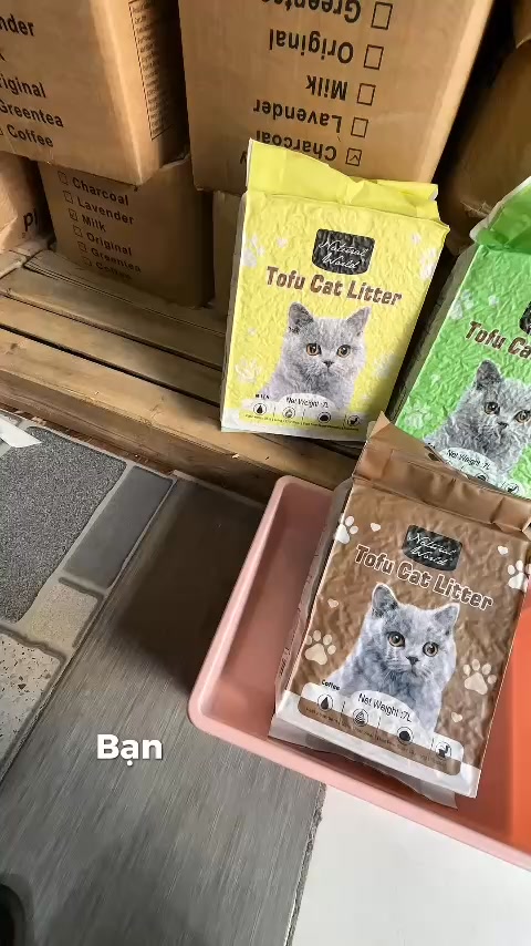 [🆕🇻🇳] Blue Pet – Vật phẩm dành cho thú cưng 🐶🦜 Top1Pets 🐱🐠  Cát Đậu Nành Natural World – vón nhanh, khử mùi tốt, xả toilet được
An toàn cho Boss, tiện lợi cho Sen – thử 1 lần là mê ngay! #catdaunanh , shares-0✔️ , likes-0❤️️ , date-2025-08-20 00:38:52🐶🐱🇻🇳🇻🇳🇻🇳📰🆕