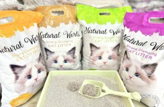 [🆕🇻🇳] Cát vệ sinh và Thức ăn chó mèo Hạ Long 🐶🦜 Top1Pets 🐱🐠 Chỉ  #284k/tải gồm 6 túi, mỗi túi 9L nặng 4kg, tải nặng 24kg
#FREESHIP nội thành TP. Hạ Long 
XẢ KHO CÁT VỆ SINH CHO MÈO NATURAL WORLD CHẤT LƯỢNG SIÊU VÓN  , shares-0✔️ , likes-0❤️️ , date-2025-08-21 23:15:29🐶🐱🇻🇳🇻🇳🇻🇳📰🆕